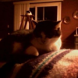 Meet your Posher, Mitzi